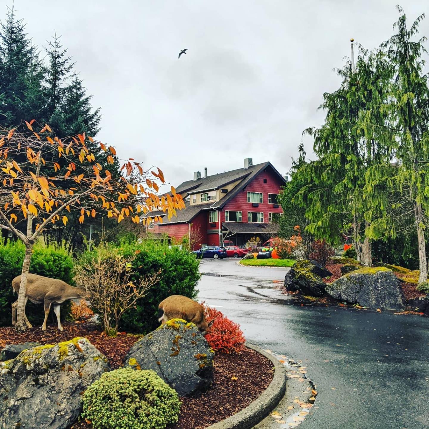 Cape Fox Lodge Ketchikan Exterior foto